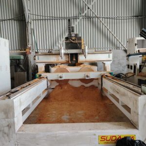 Máy đục tượng CNC 2 đầu khoang 65x2m